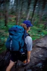 Backpacking on Franconia Ridge Trail, Boreal Forest, New Hampshire | Obraz na stenu