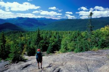 Hiking on Mt Crawford, New Hampshire | Obraz na stenu