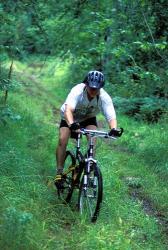 Mountain Biking on Providence Pond Loop Trail, White Mountain National Forest, New Hampshire | Obraz na stenu