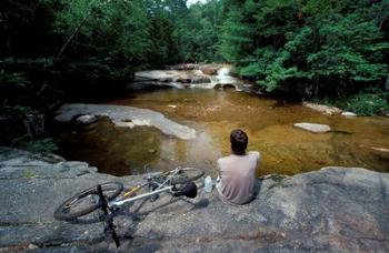 Mountain Biking, Swift River, White Mountain National Forest, New Hampshire | Obraz na stenu