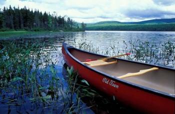 Canoeing on Lake Tarleton, White Mountain National Forest, New Hampshire | Obraz na stenu