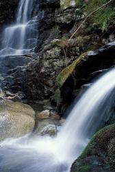 Coosauk Falls, Bumpus Brook, White Mountain National Forest, New Hampshire | Obraz na stenu