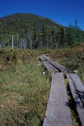 Tamarack Bog Bridge on the Lonesome Lake Trail, New Hampshire | Obraz na stenu