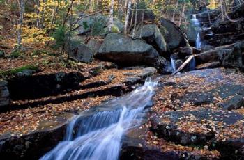 Champney Brook in White Mountains, New Hampshire | Obraz na stenu