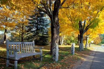 Fall in New England, New Hampshire | Obraz na stenu