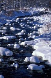 Wildcat River, White Mountains, New Hampshire | Obraz na stenu