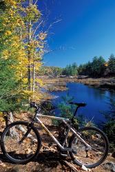 Mountain Bike at Beaver Pond in Pawtuckaway State Park, New Hampshire | Obraz na stenu