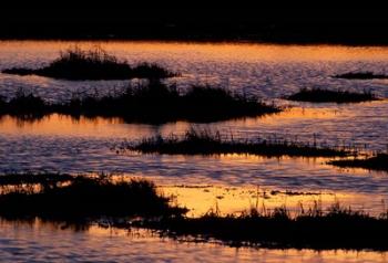 Great Bay at Sunset, New Hampshire | Obraz na stenu