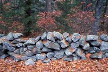 Stone Wall next to Sheepboro Road, New Hampshire | Obraz na stenu