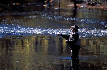 Fly Fisherman on the Lamprey River Below Wiswall Dam, New Hampshire | Obraz na stenu