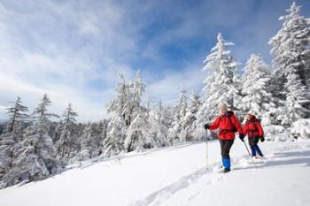 Winter Hiking on Mount Cardigan, Clark Trail, Canaan, New Hampshire | Obraz na stenu