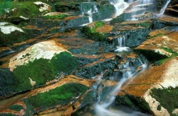 Water over Mossy Rock Ledge in the Peabody River, White Mountains National Forest, New Hampshire | Obraz na stenu