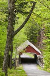 The Flume Covered Bridge, Pemigewasset River, Franconia Notch State Park, New Hampshire | Obraz na stenu