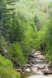 Spring on the Pemigewasset River, Flume Gorge, Franconia Notch State Park, New Hampshire | Obraz na stenu