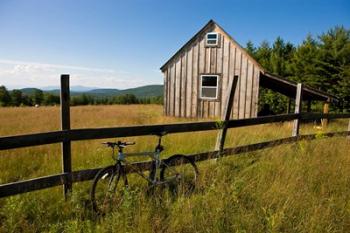 Birch Hill, New Durham, New Hampshire | Obraz na stenu