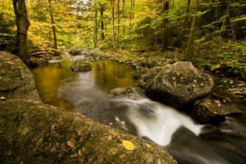 Autumn stream in Grafton, New Hampshire | Obraz na stenu