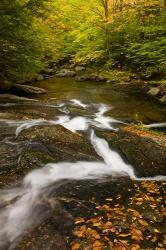 Autumn stream, Grafton, New Hampshire | Obraz na stenu