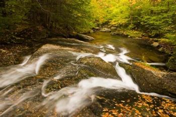 Autumn stream, New Hampshire | Obraz na stenu