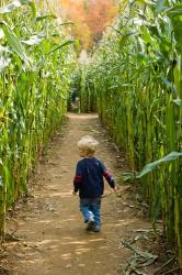 Moulton Farm, Meredith, New Hampshire | Obraz na stenu