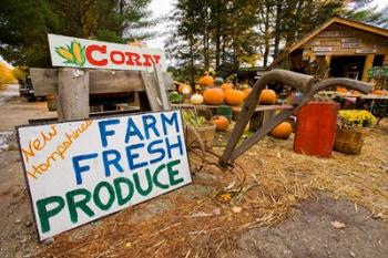 Farm stand in Holderness, New Hampshire | Obraz na stenu