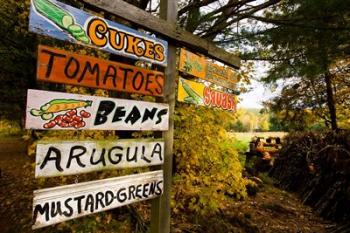 A farm stand, Holderness, New Hampshire | Obraz na stenu