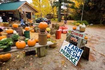 Farm stand, Holderness, New Hampshire | Obraz na stenu