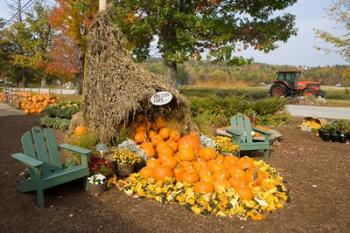 Moulton Farm farmstand in Meredith, New Hampshire | Obraz na stenu