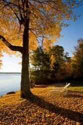 Lodge at Lake Winnipesauke, New Hampshire | Obraz na stenu