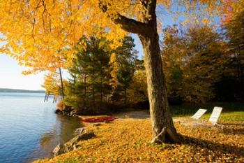 Lodge, Lake Winnipesauke, New Hampshire | Obraz na stenu