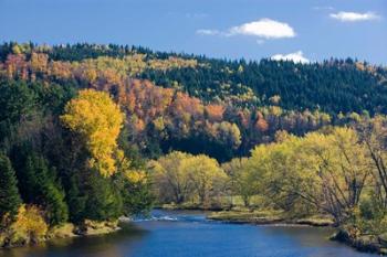 Fall along the Connecticut River in Colebrook, New Hampshire | Obraz na stenu