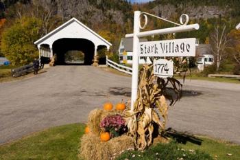 Covered Bridge in downtown Stark, New Hampshire | Obraz na stenu