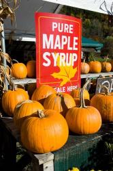 Farmstand at Hunter's Acres Farm in Claremont, New Hampshire | Obraz na stenu