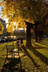Late afternoon on the Dartmouth College Green,  New Hampshire | Obraz na stenu