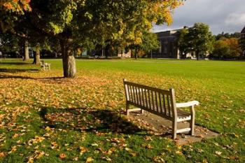 The Dartmouth College Green in Hanover, New Hampshire | Obraz na stenu