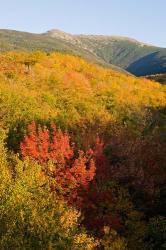 Mount Lafayette in fall, White Mountain National Forest, New Hampshire | Obraz na stenu
