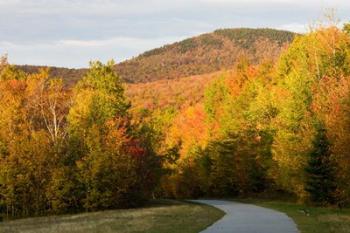 Franconia Notch Bike Path in New Hampshire's White Mountains | Obraz na stenu