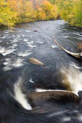 Ashuelot River, New Hampshire | Obraz na stenu