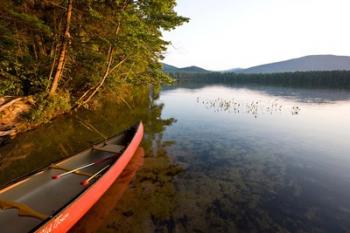 White Lake State Park, New Hampshire | Obraz na stenu