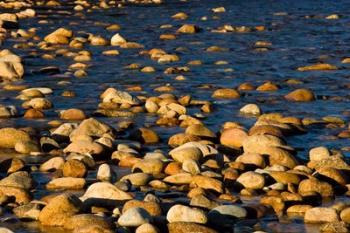 Saco River, White Mountains, New Hampshire | Obraz na stenu