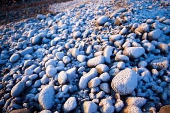 Winter cobblestones, Odiorne, New Hampshire | Obraz na stenu