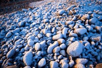 Winter cobblestones, Odiorne, New Hampshire | Obraz na stenu