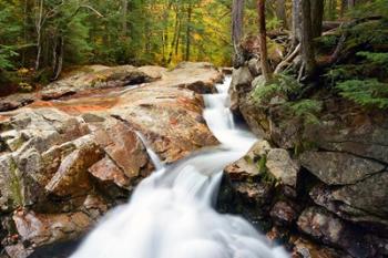 Autumn on Pemigewasset River, Franconia Notch SP, New Hampshire | Obraz na stenu