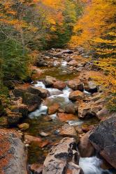 Liberty Gorge, Franconia Notch State Park, New Hampshire | Obraz na stenu