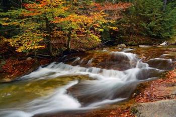 Pemigewasset River, New Hampshire | Obraz na stenu