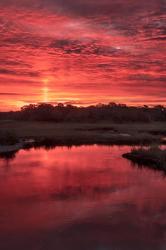 New Jersey, Cape May, Sunrise On Creek | Obraz na stenu