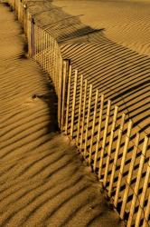 New Jersey, Cape May, Fence Shadow On Shore Sand | Obraz na stenu