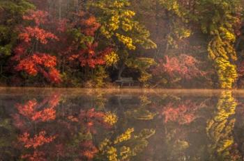 New Jersey, Belleplain State Fores,t Autumn Tree Reflections On Lake | Obraz na stenu