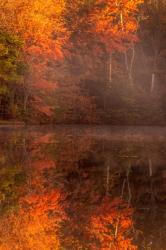 New Jersey, Belleplain State Forest, Autumn Tree Reflections On Lake | Obraz na stenu