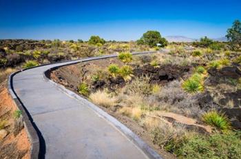 Malpais Nature Trail, New Mexico | Obraz na stenu