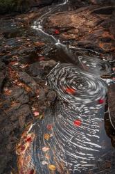 New York, Adirondack State Park Stream Eddies | Obraz na stenu